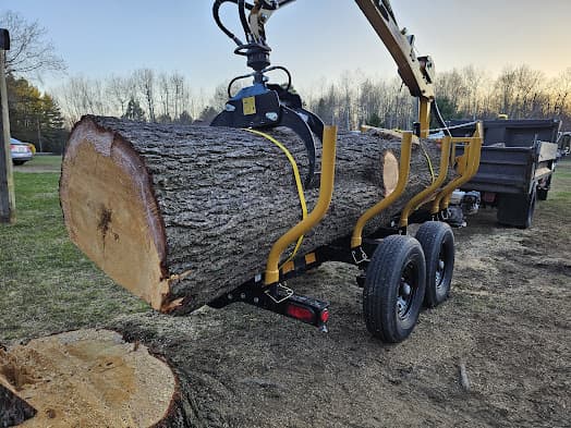 A large tree trunk hoisted on the back of a trailer.