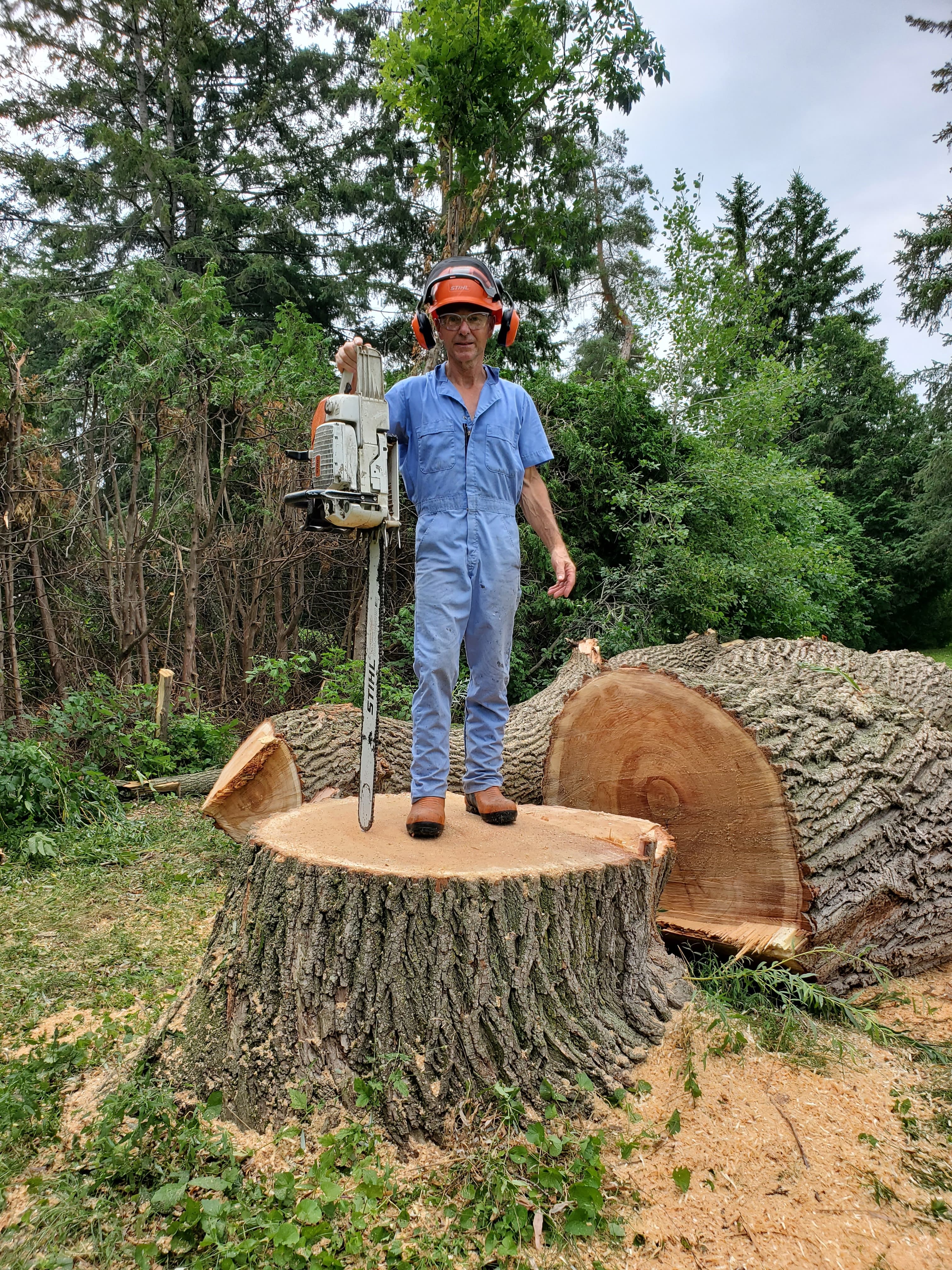 A man standing on top of a large tree trunk, holding a large chainsaw.